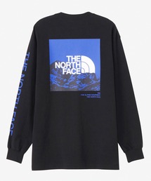 THE NORTH FACE/ザ・ノース・フェイス L/S Sleeve Graphic Tee レギュラーシルエット ヘビーコットン NT32438