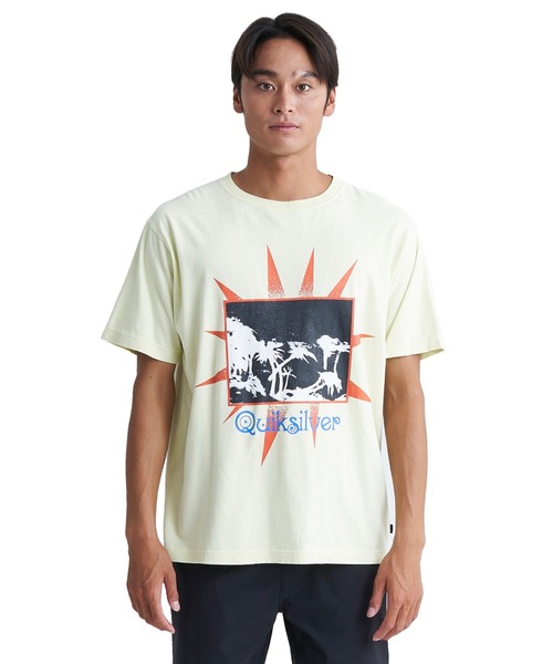セール】GREY DAYS ST/クイックシルバー半袖Tシャツ（Tシャツ