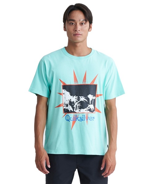 Quiksilver(クイックシルバー)の「GREY DAYS ST/クイックシルバー半袖Tシャツ(Tシャツ/カットソー・メンズ・イエロー/ホワイト/グリーン/ブラック・X-LARGE/MEDIUM/LARGE)」の3枚目の写真