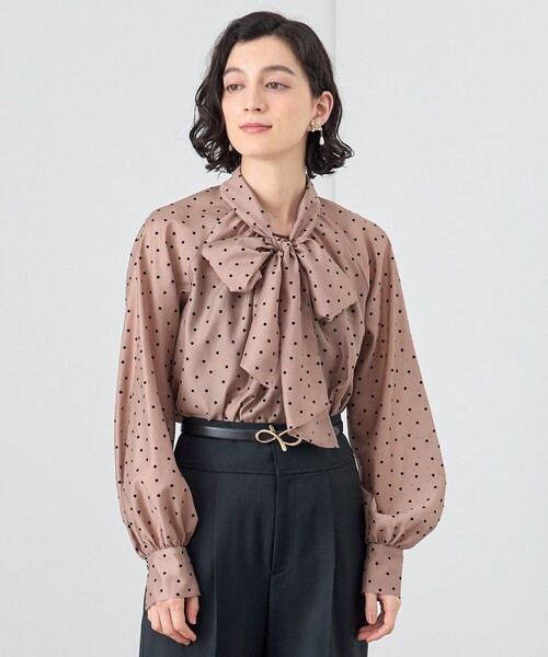 ANAYI（アナイ）の「オーガンジーラグランタイ ブラウス（シャツ  