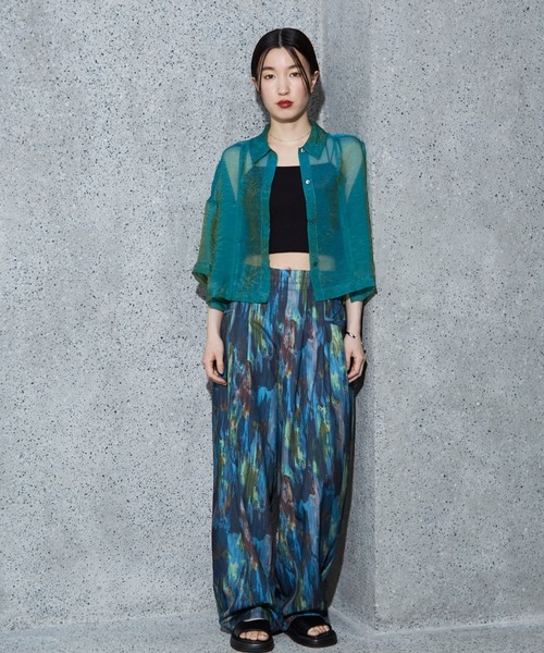 NOMINE(ノミネ)の「ハーフスリーブ シアー シャツ(シャツ/ブラウス・レディース・グレイッシュベージュ/エメラルド/ブラック/エンジ/ブラック系その他/ブラウン系その他/ピンク/ライトグレー・フリー)」の12枚目の写真