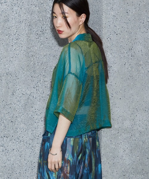 NOMINE(ノミネ)の「ハーフスリーブ シアー シャツ(シャツ/ブラウス・レディース・グレイッシュベージュ/エメラルド/ブラック/エンジ/ブラック系その他/ブラウン系その他/ピンク/ライトグレー・フリー)」の14枚目の写真