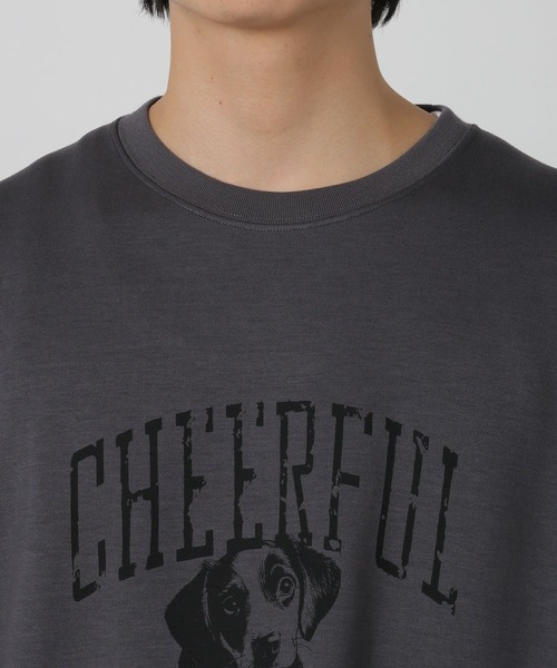 LAKOLE（ラコレ）の「ダンボールアニマル半袖Ｔ / 325997（Tシャツ/カットソー・メンズ・ホワイト/チャコール/グリーン/アクア・MEDIUM/LARGE）」の11枚目の写真