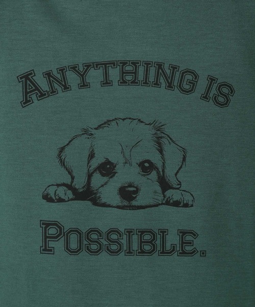 LAKOLE（ラコレ）の「ダンボールアニマル半袖Ｔ / 325997（Tシャツ/カットソー・メンズ・ホワイト/チャコール/グリーン/アクア・MEDIUM/LARGE）」の17枚目の写真