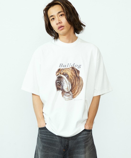セール】Lee/リー ブルドッグプリントTシャツ（Tシャツ