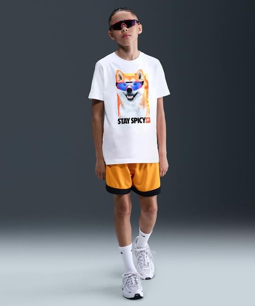 NIKE/NIKEスポーツ アロハプリント/28cm セール】キッズ NIKE ナイキ 17-22COURT BOROUGH LOW 2 (PSV