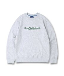 DOLPHIN WAVE APPAREL（ドルフィンウェーブアパレル）の「ドルフィンアスレチッククラブ メンズ スウェット クールグレー（スウェット）」