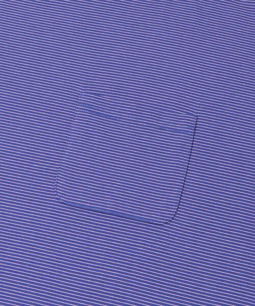 SENSE OF PLACE by URBAN RESEARCH（センスオブプレイスバイアーバンリサーチ）の「ピンボーダーロングスリーブTシャツ（Tシャツ/カットソー・メンズ・グレー/ブルー/ネイビー・MEDIUM/LARGE）」の22枚目の写真