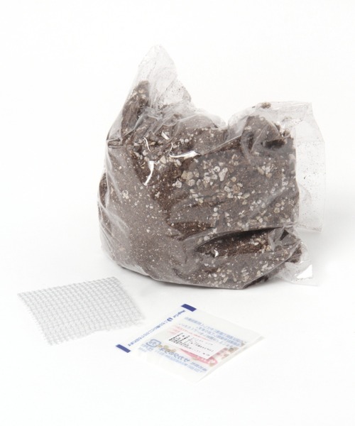 GLOBAL WORK（グローバルワーク）の「デリッシュガーデン【G.W.G.G.】/948390（その他・レディース・その他1/その他2/その他3/ホワイト系その他・FREE）」の15枚目の写真