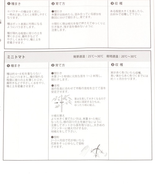 GLOBAL WORK（グローバルワーク）の「デリッシュガーデン【G.W.G.G.】/948390（その他・レディース・その他1/その他2/その他3/ホワイト系その他・FREE）」の19枚目の写真