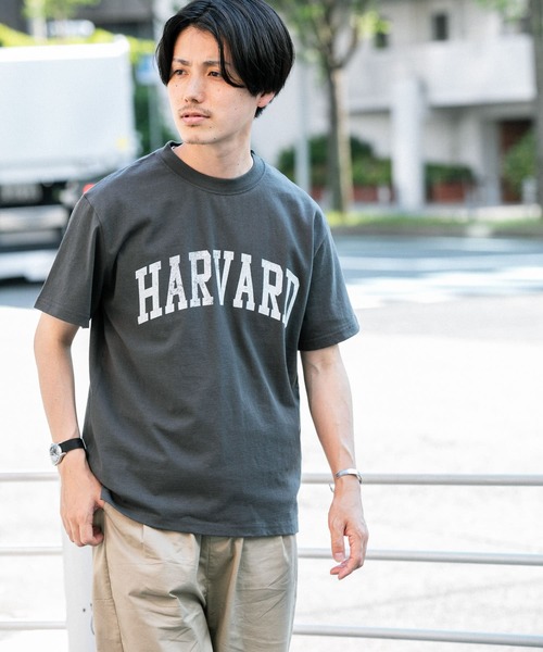 HARVARD（ハーバード）の「HARVARD ロゴプリントTシャツ（Tシャツ/カットソー・メンズ・ベージュ/ホワイト/ブラック・LARGE/MEDIUM）」の3枚目の写真