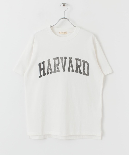 HARVARD（ハーバード）の「HARVARD ロゴプリントTシャツ（Tシャツ/カットソー・メンズ・ベージュ/ホワイト/ブラック・LARGE/MEDIUM）」の5枚目の写真