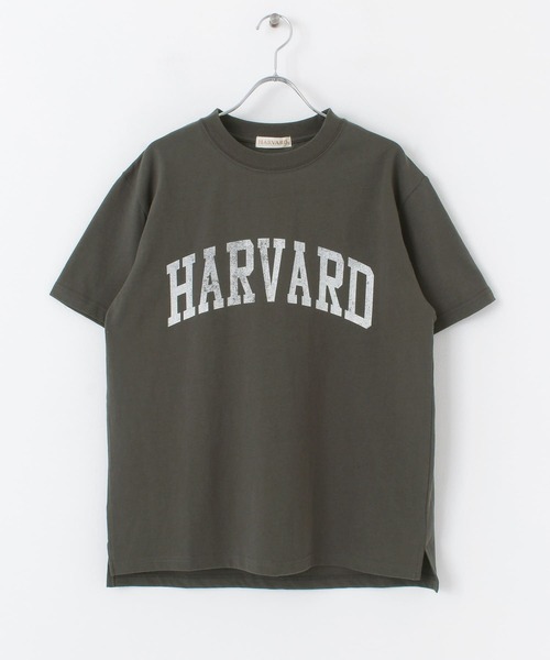 HARVARD（ハーバード）の「HARVARD ロゴプリントTシャツ（Tシャツ/カットソー・メンズ・ベージュ/ホワイト/ブラック・LARGE/MEDIUM）」の11枚目の写真