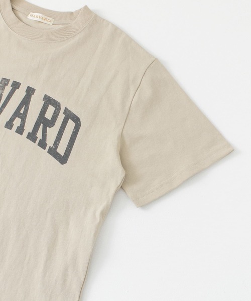 HARVARD（ハーバード）の「HARVARD ロゴプリントTシャツ（Tシャツ/カットソー・メンズ・ベージュ/ホワイト/ブラック・LARGE/MEDIUM）」の8枚目の写真