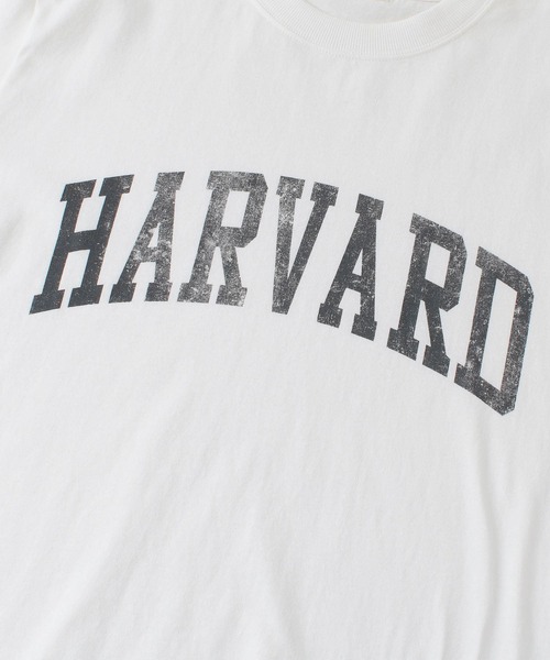 HARVARD（ハーバード）の「HARVARD ロゴプリントTシャツ（Tシャツ/カットソー・メンズ・ベージュ/ホワイト/ブラック・LARGE/MEDIUM）」の12枚目の写真