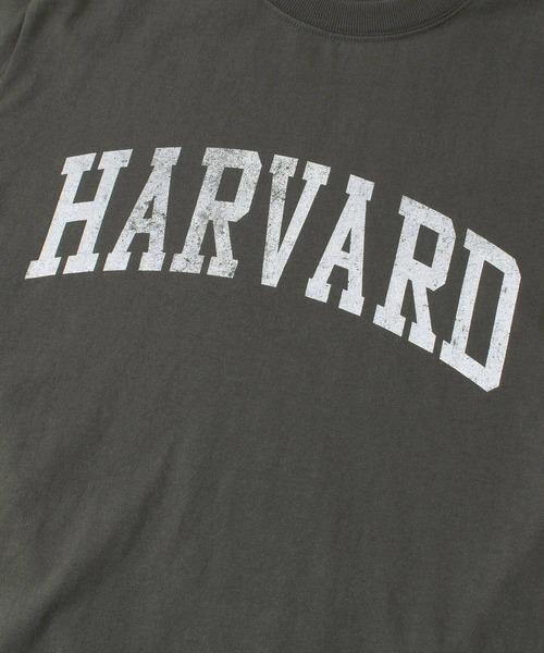 HARVARD（ハーバード）の「HARVARD ロゴプリントTシャツ（Tシャツ/カットソー・メンズ・ベージュ/ホワイト/ブラック・LARGE/MEDIUM）」の17枚目の写真