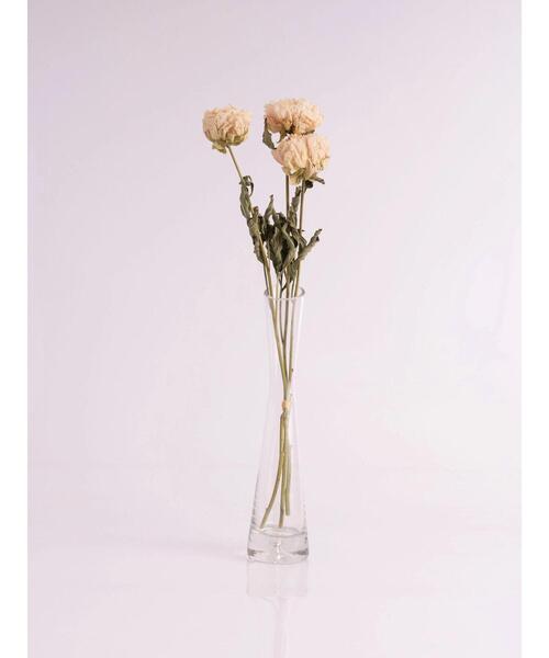 インテリア インテリア雑貨芍薬 インテリア雑貨 ノモナキス ノモナキス のファッション