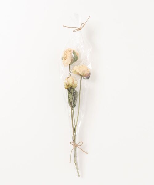 インテリア インテリア雑貨芍薬 インテリア雑貨 ノモナキス ノモナキス のファッション