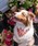 MODERNBEAST�i���_���r�[�X�g�j�́uNECKWEAR�i���̑��y�b�g�O�b�Y�j�v�b���b�h
