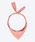 MODERNBEAST�i���_���r�[�X�g�j�́uNECKWEAR�i���̑��y�b�g�O�b�Y�j�v�b�s���N
