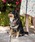 MODERNBEAST�i���_���r�[�X�g�j�́uNECKWEAR�i���̑��y�b�g�O�b�Y�j�v�b�u���b�N