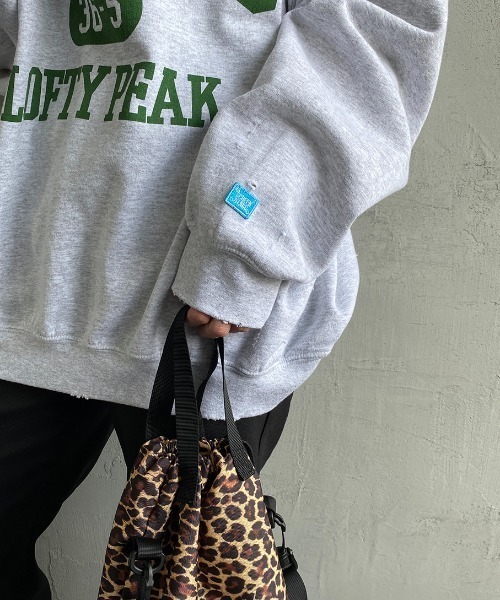 SCREEN STARS（スクリーンスターズ）の「[SCREEN STARS/スクリーンスターズ] ダメージ加工 カレッジロゴプリントクルーネックスウェット（スウェット・レディース・グレー系/グレー系1/グレー系2・M/L）」の16枚目の写真