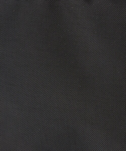 GREGORY（グレゴリー）の「【別注】＜GREGORY＞ テールランナー ウエスト バッグ（ボディバッグ/ウエストポーチ・メンズ・ブラック・FREE）」の5枚目の写真