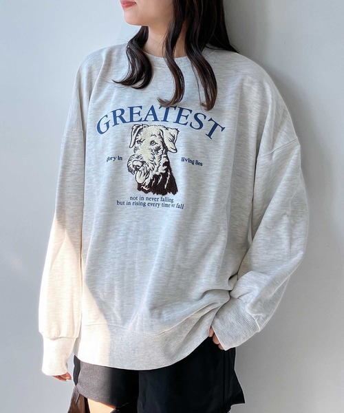 AS KNOW AS plus（アズノゥアズプラス）の「◇サガラ刺繍 ドッグプリントスウェットプルオーバー（スウェット・レディース・ネイビー系/アイボリー系/ブラック系/ホワイト系・FREE）」の16枚目の写真