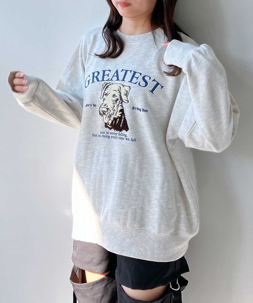 AS KNOW AS plus（アズノゥアズプラス）の「◇サガラ刺繍 ドッグプリントスウェットプルオーバー（スウェット・レディース・ネイビー系/アイボリー系/ブラック系/ホワイト系・FREE）」の17枚目の写真