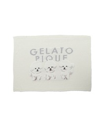 gelato pique(WF[gsP)̃`[tWK[huPbg(uPbg)