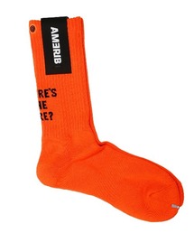 LUXSTYLE（ラグスタイル）の「AMERIB(アメリブ)バックロゴクルーソックス（ソックス/靴下）」