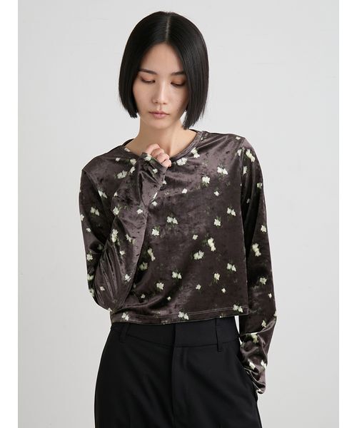 MIESROHE（ミースロエ）の「短丈ベロアトップス（Tシャツ/カットソー・レディース・ブラウン/ブラック/イエロー・F）」の14枚目の写真