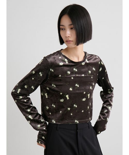 MIESROHE（ミースロエ）の「短丈ベロアトップス（Tシャツ/カットソー・レディース・ブラウン/ブラック/イエロー・F）」の15枚目の写真