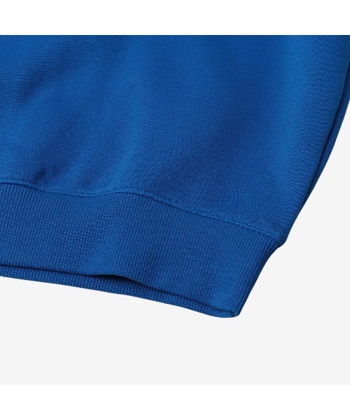 Reebok(リーボック)の「ビッグロゴ クルースウェット / CURTIS VARSITY SWEATSHIRT(スウェット・メンズ・ブラウン/ブラック/ブルー・LARGE/MEDIUM/SMALL/X-LARGE)」の13枚目の写真