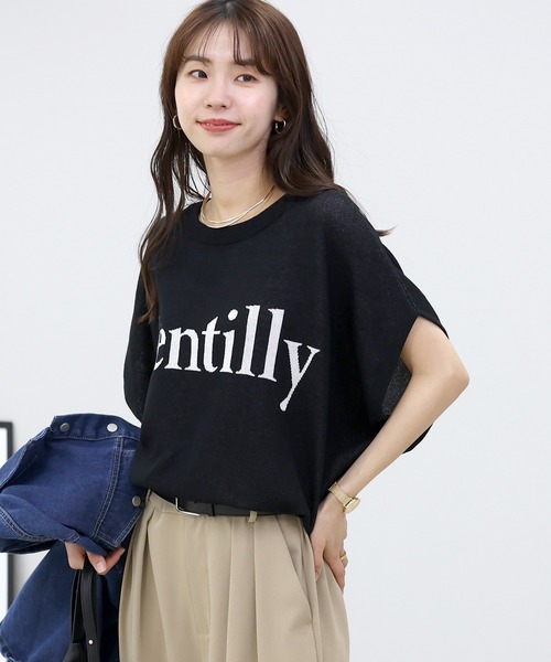 Aletta vita（アレッタビータ）の「ロゴジャガードドルマンプルオーバー（Tシャツ/カットソー・レディース・ダークブラウン/ブラック/ライトグレー・M）」の19枚目の写真