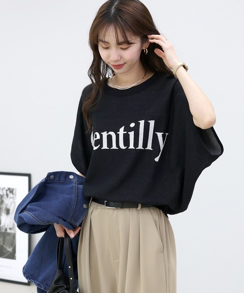 Aletta vita（アレッタビータ）の「ロゴジャガードドルマンプルオーバー（Tシャツ/カットソー・レディース・ダークブラウン/ブラック/ライトグレー・M）」の20枚目の写真