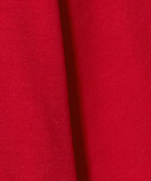 NICE WEATHER(ナイスウェザー)の「<NICE WEATHER>ウィメンズ ロゴ Tシャツ(Tシャツ/カットソー・レディース・ライラック/レッド/ライム/ホワイト・M/S)」の12枚目の写真