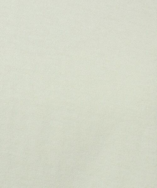 DRESSTERIOR(ドレステリア)の「◆タックドレープジャージプルオーバー(Tシャツ/カットソー・レディース・ダークグレー/ブルー/オフホワイト/ライトグリーン・38)」の13枚目の写真