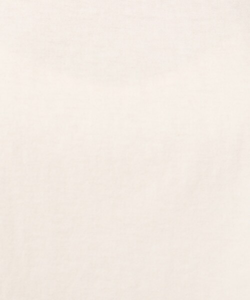 DRESSTERIOR(ドレステリア)の「◆タックドレープジャージプルオーバー(Tシャツ/カットソー・レディース・ダークグレー/ブルー/オフホワイト/ライトグリーン・38)」の14枚目の写真