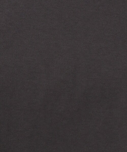 DRESSTERIOR(ドレステリア)の「◆タックドレープジャージプルオーバー(Tシャツ/カットソー・レディース・ダークグレー/ブルー/オフホワイト/ライトグリーン・38)」の15枚目の写真