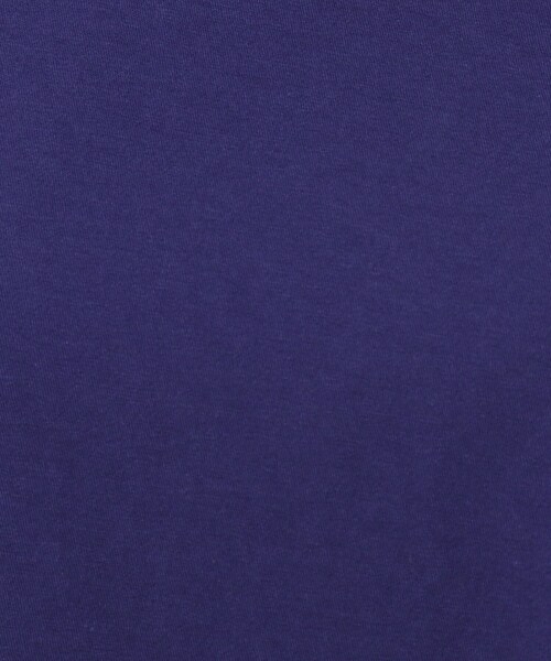 DRESSTERIOR(ドレステリア)の「◆タックドレープジャージプルオーバー(Tシャツ/カットソー・レディース・ダークグレー/ブルー/オフホワイト/ライトグリーン・38)」の16枚目の写真