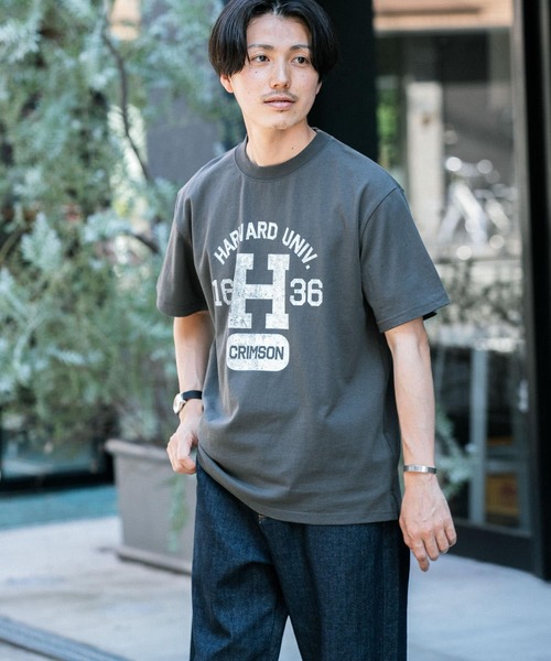 HARVARD（ハーバード）の「HARVARD プリントTシャツ Arch（Tシャツ/カットソー・メンズ・ホワイト/ブラック/ベージュ・LARGE/MEDIUM）」の11枚目の写真