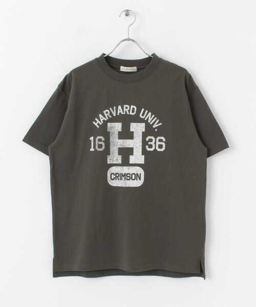HARVARD（ハーバード）の「HARVARD プリントTシャツ Arch（Tシャツ/カットソー・メンズ・ホワイト/ブラック/ベージュ・LARGE/MEDIUM）」の9枚目の写真