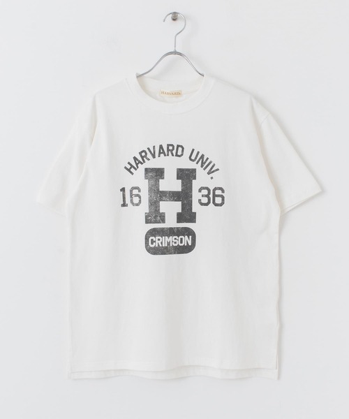HARVARD（ハーバード）の「HARVARD プリントTシャツ Arch（Tシャツ/カットソー・メンズ・ホワイト/ブラック/ベージュ・LARGE/MEDIUM）」の6枚目の写真