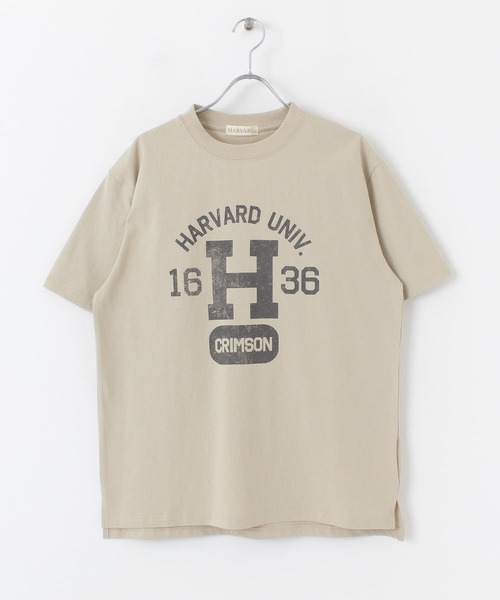 HARVARD（ハーバード）の「HARVARD プリントTシャツ Arch（Tシャツ/カットソー・メンズ・ホワイト/ブラック/ベージュ・LARGE/MEDIUM）」の10枚目の写真