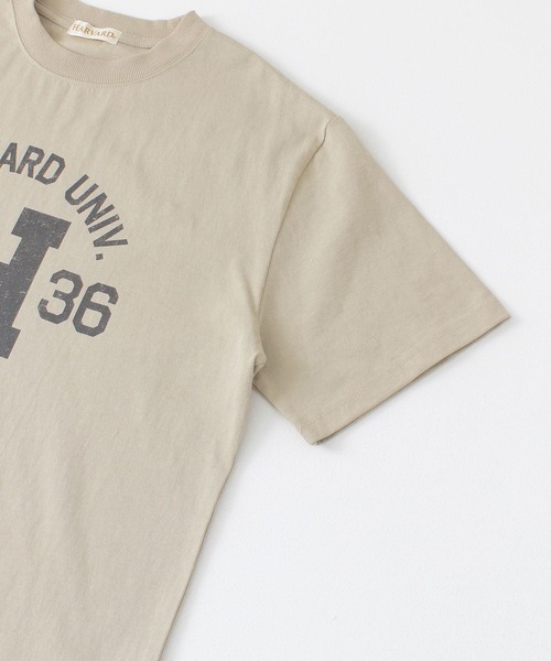 HARVARD（ハーバード）の「HARVARD プリントTシャツ Arch（Tシャツ/カットソー・メンズ・ホワイト/ブラック/ベージュ・LARGE/MEDIUM）」の13枚目の写真
