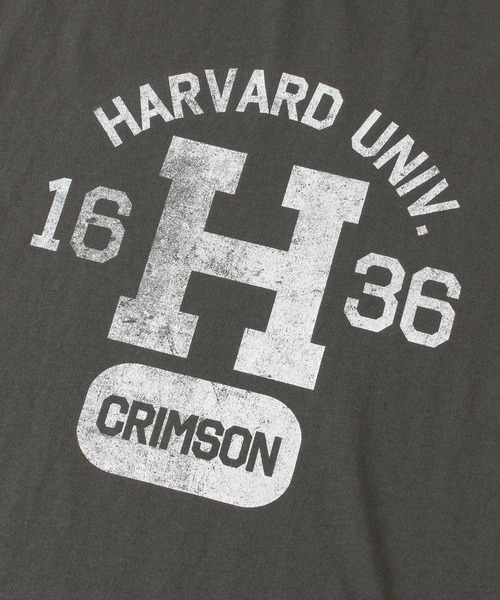 HARVARD（ハーバード）の「HARVARD プリントTシャツ Arch（Tシャツ/カットソー・メンズ・ホワイト/ブラック/ベージュ・LARGE/MEDIUM）」の5枚目の写真