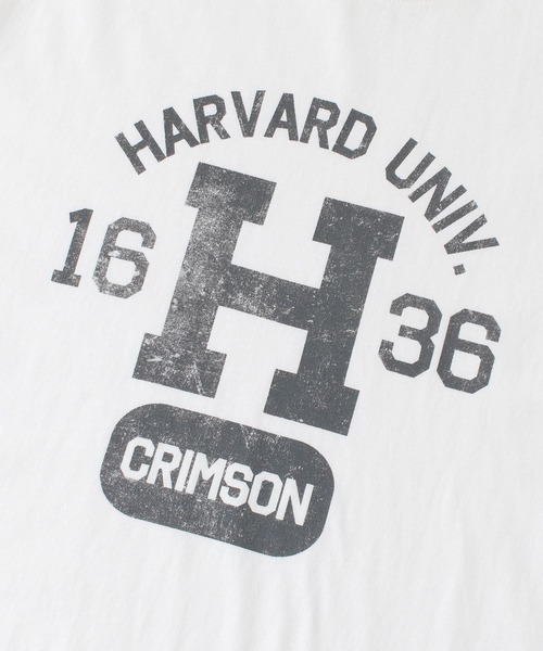 HARVARD（ハーバード）の「HARVARD プリントTシャツ Arch（Tシャツ/カットソー・メンズ・ホワイト/ブラック/ベージュ・LARGE/MEDIUM）」の16枚目の写真