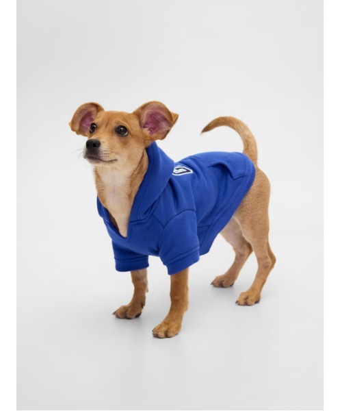 GAP（ギャップ）の「GAPロゴ ペット用パーカー 犬服（DOG WEAR）（ペットウェア・レディース・ブラック/ネイビー/グレー/ピンク/ワイン/ピンク系その他/グリーン/ブルー/アイボリー/グリーン系その他/ベビーピンク/グレー系その他/ブラック系その他/レッド/ブルー系その他/イエロー・S/M/XS/L/XL/XXS）」の20枚目の写真