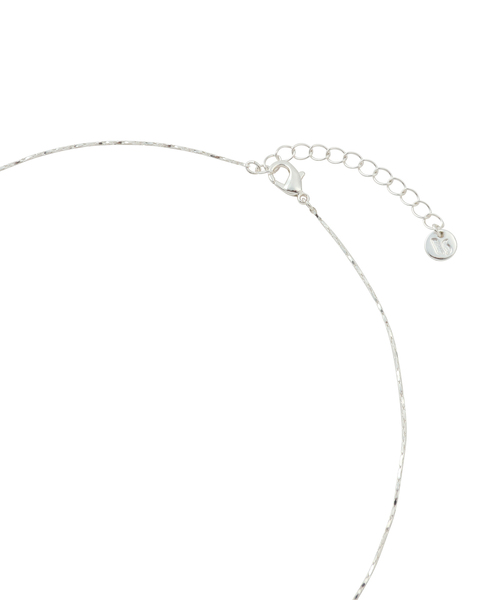 VIS(ビス)の「ワンドロップペンダントネックレス(ネックレス・レディース・シルバー/ゴールド・FREE)」の8枚目の写真